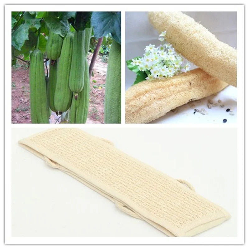 "Cinturón Exfoliante Corporal Natural – Limpieza Profunda para Espalda"