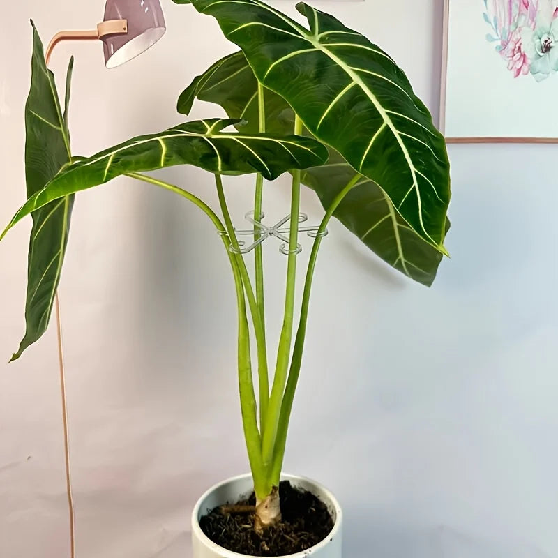 Set de 4 Sujetadores para Tallos de Plantas — Soporte Flexible para Jardín