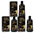 Black Hair Dye Shampoo 3in1 with Ginger & Biotin - Long Lasting Color & Gray Coverage for Vibrant Hair