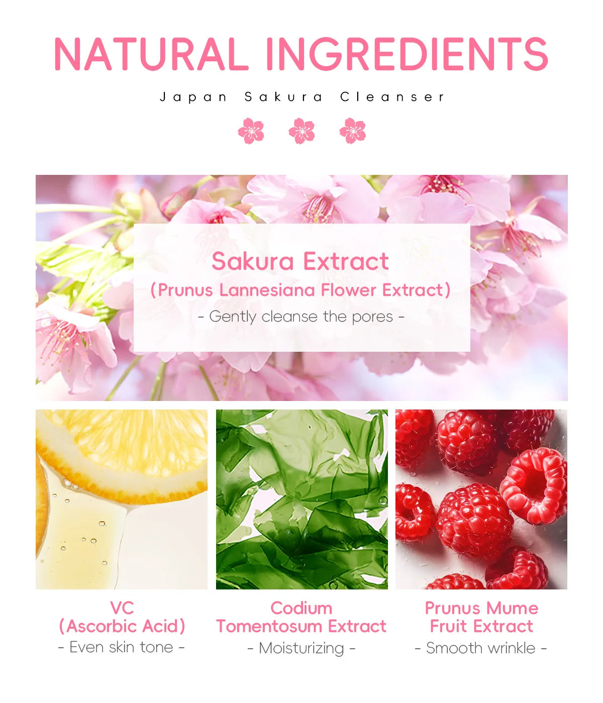 Limpiador Facial Sakura – Espuma Purificante con Flor de Cerezo 50g