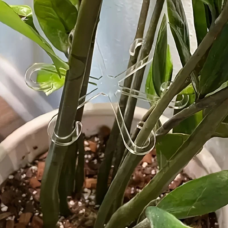 Set de 4 Sujetadores para Tallos de Plantas — Soporte Flexible para Jardín